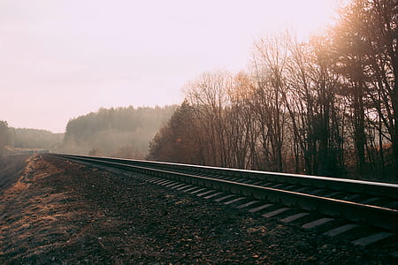 Train Rails Photography thumbnail