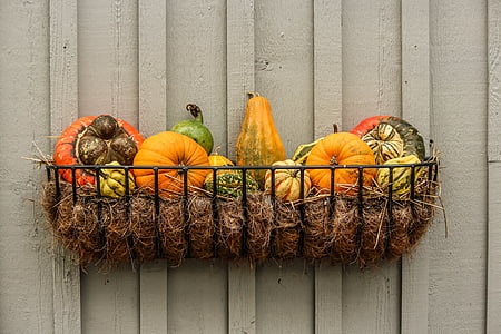 tray of assorted-color squashes thumbnail