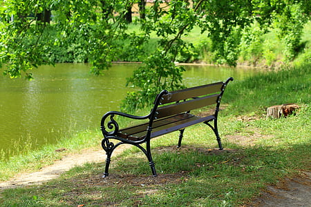 brown wooden bench under green tree near water during daytime thumbnail