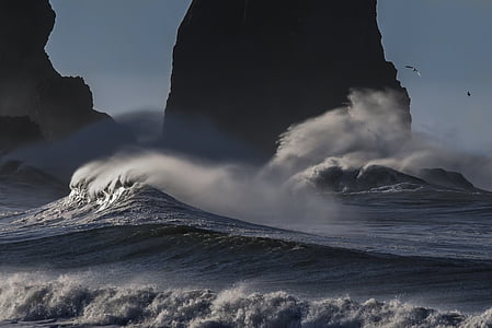 body of water photo thumbnail