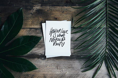 how we live is what makes us real text thumbnail