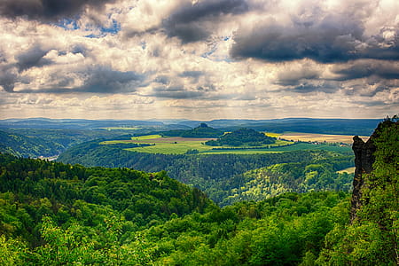 Field of Trees on Mountain thumbnail
