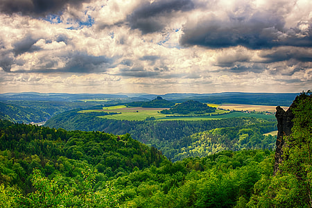 forest landscape during daytime thumbnail