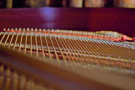 selective focus photography of harp thumbnail