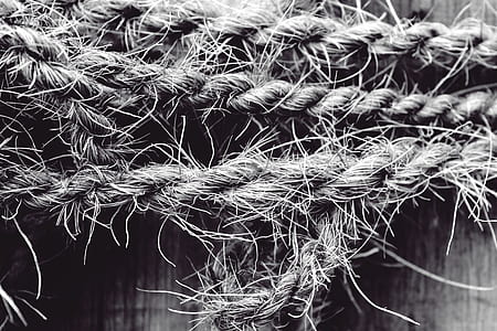 grayscale photography of gray rope thumbnail