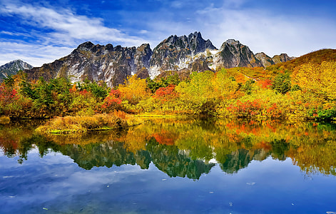 mountain alps and yellow leaf trees at distance during daytime thumbnail