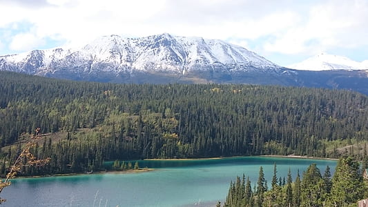 lake surrounded by trees near mountain thumbnail