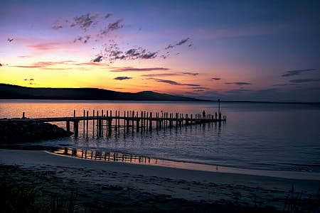 Silhouette of Seadock on Body of Water during Sunset thumbnail