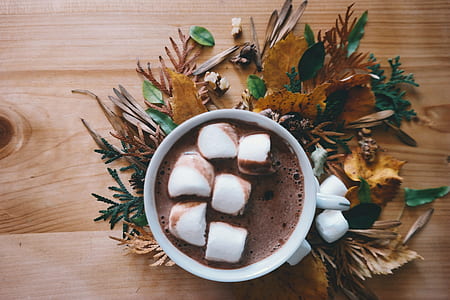 white ceramic mug filled if chocolate and marshmallow thumbnail