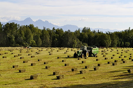 green farm tractor thumbnail