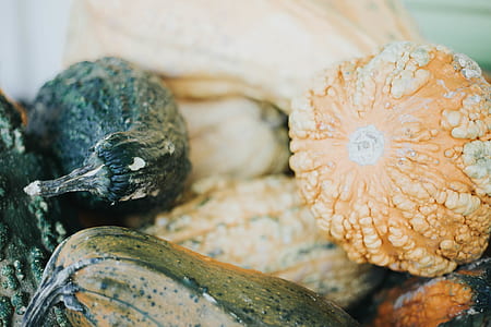 lot of orange and green vegetable thumbnail