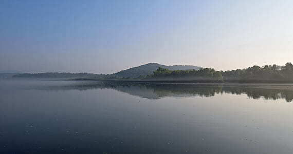 calm body of water with trees during daytime thumbnail