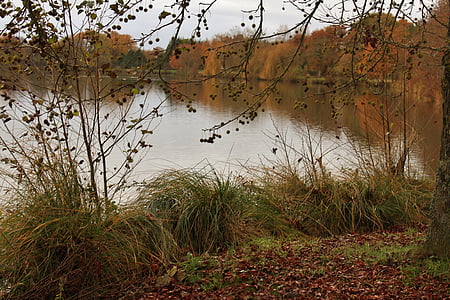 body of water surrounded by trees thumbnail
