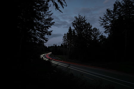 gray roadway surrounded by trees thumbnail