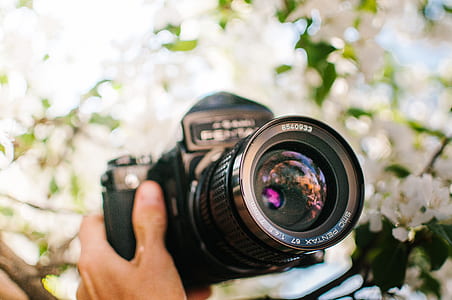 person holding black DSLR camera thumbnail