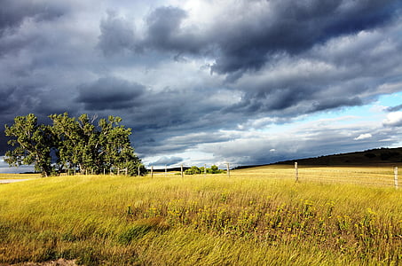 grass field under cloudy sky thumbnail