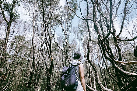 person standing near green leafed trees outdoors thumbnail