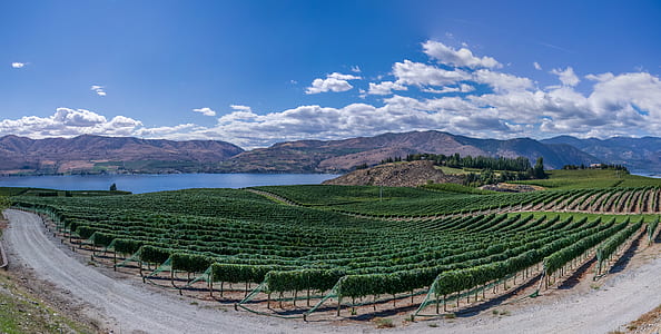 green farm beside body of water thumbnail