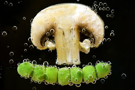 brown mushroom thumbnail