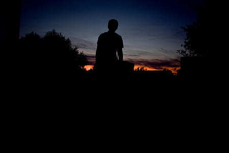 person standing between tress silhouette thumbnail