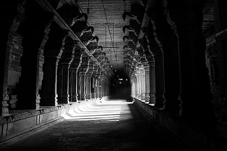Grayscale Photo of Hallway thumbnail