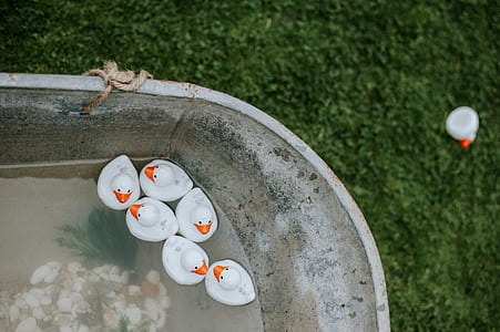 rubber duckies on tub thumbnail