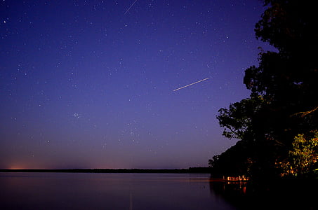 trees near body of water at night thumbnail