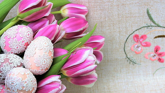 pink tulip flowers on gray textile thumbnail