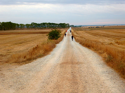 people walking in pathway between brown grass field thumbnail