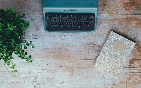 top view photo of black and green typewriter near green leaf plant thumbnail