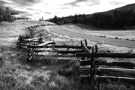 Greyscale Photo of Wooden Fence Near Road thumbnail
