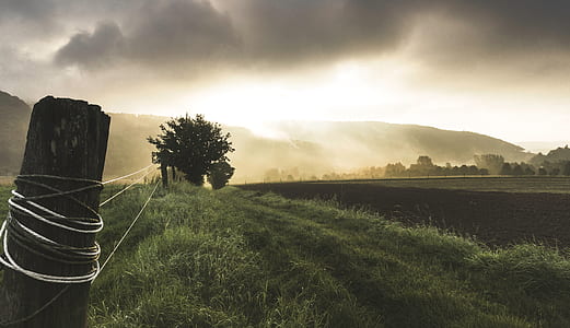 green grass field thumbnail