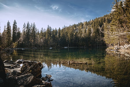 body of water surrounded by trees thumbnail