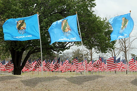 blue flags thumbnail