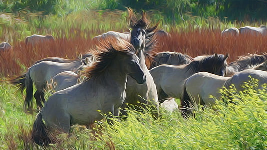 gray horses on grass field thumbnail