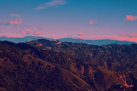 Mountain With Green Leaf Trees thumbnail