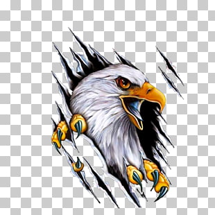Car Mile High Harley-Davidson Motorcycle Decal, eagle, bald eagle painting PNG clipart
