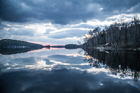 lake over withered trees thumbnail