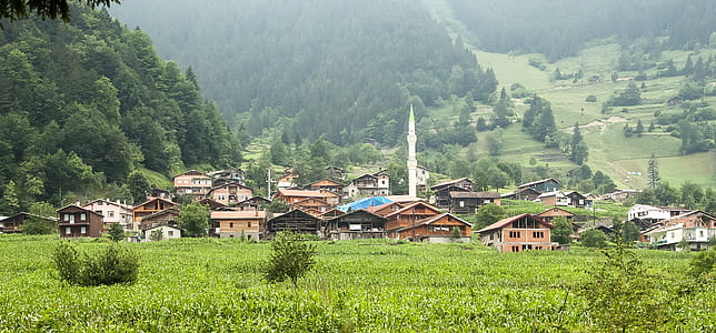 wide angle photo of houses on green grass field thumbnail