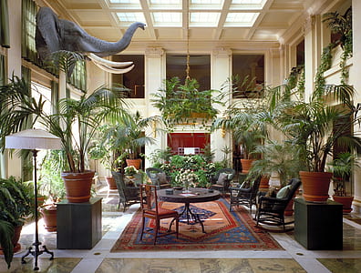 living room set surrounded by plant thumbnail