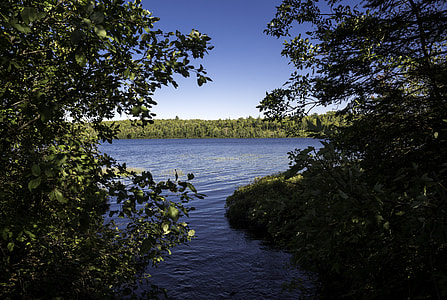 Lake Michigamme Through a clearing at Van Riper State Park thumbnail