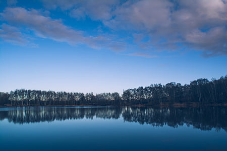 landscape photography of lake and trees thumbnail