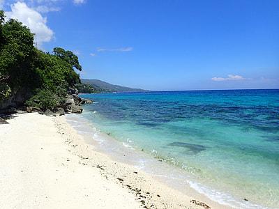 trees near seashore during daytime thumbnail