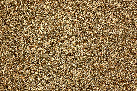 perilla, pattern, texture, nature, grain, farming thumbnail