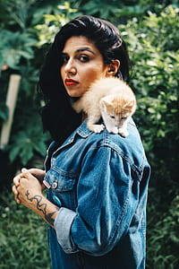 orange tabby kitten on woman's shoulder thumbnail
