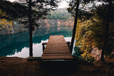 landscape photography of dock between trees thumbnail