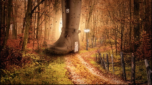brown buckled boot at the middle of road surrounded by trees thumbnail