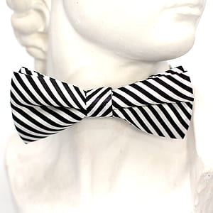 head bust with black and white striped bow tie thumbnail