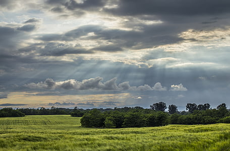 wide grass field during daytime thumbnail