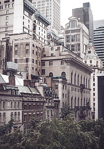 Views From MoMa thumbnail